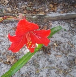 Meet your Posher, Joyce